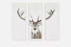 Stag - Set of Three Printed Frames