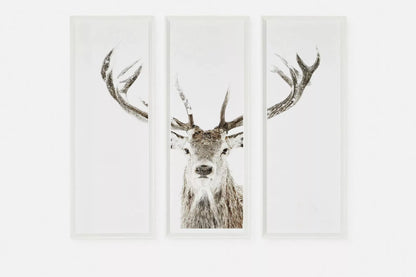 Stag - Set of Three Printed Frames
