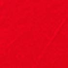 Red swatch