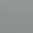 Silver swatch