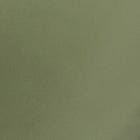 Green swatch