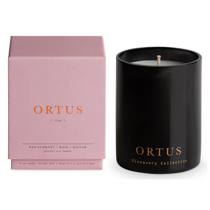 Ortus Candle