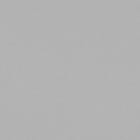 Silver swatch