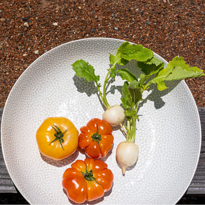 Bia Truffles - Bol de service 