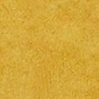Mustard swatch