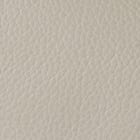 Leather, Beige swatch