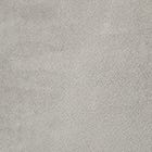Silver swatch