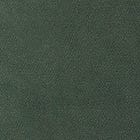 Green swatch