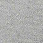 Silver swatch