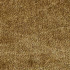 Wheat swatch