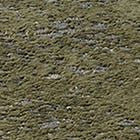 Green swatch