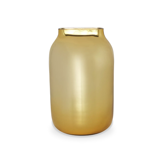 Fila - Tinted Glass Vase by Ligne Roset