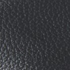 Black Polyskin swatch
