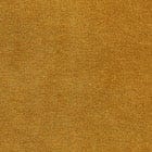 Mustard swatch