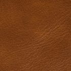 Brown Leather swatch