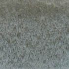Sage swatch