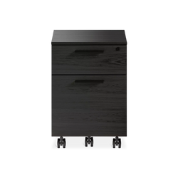 Linea 6227 - Mobile Filing Cabinet by BDI