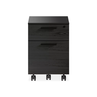Linea 6227 - Mobile Filing Cabinet by BDI