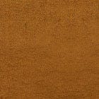 Amber swatch