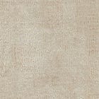 Champagne swatch