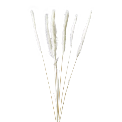 Pampas