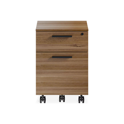 Linea 6227 - Mobile Filing Cabinet by BDI