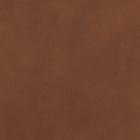 Brown swatch