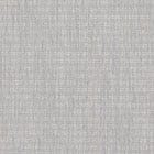 Momento Dove Grey swatch