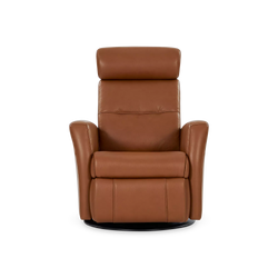 Regent II Oval - Leather Power Recliner