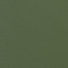Mint Green swatch