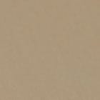 Beige Stone swatch