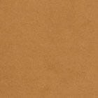 Camel swatch