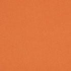 Tuscan Orange swatch