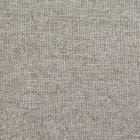 Light Grey swatch