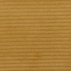 Mustard swatch