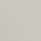 Ivory swatch