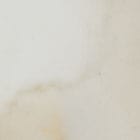 Porcelain, Calacatta Golden swatch