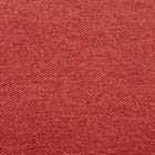 Red Salsa swatch