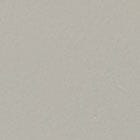 Silver swatch
