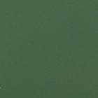 Green swatch