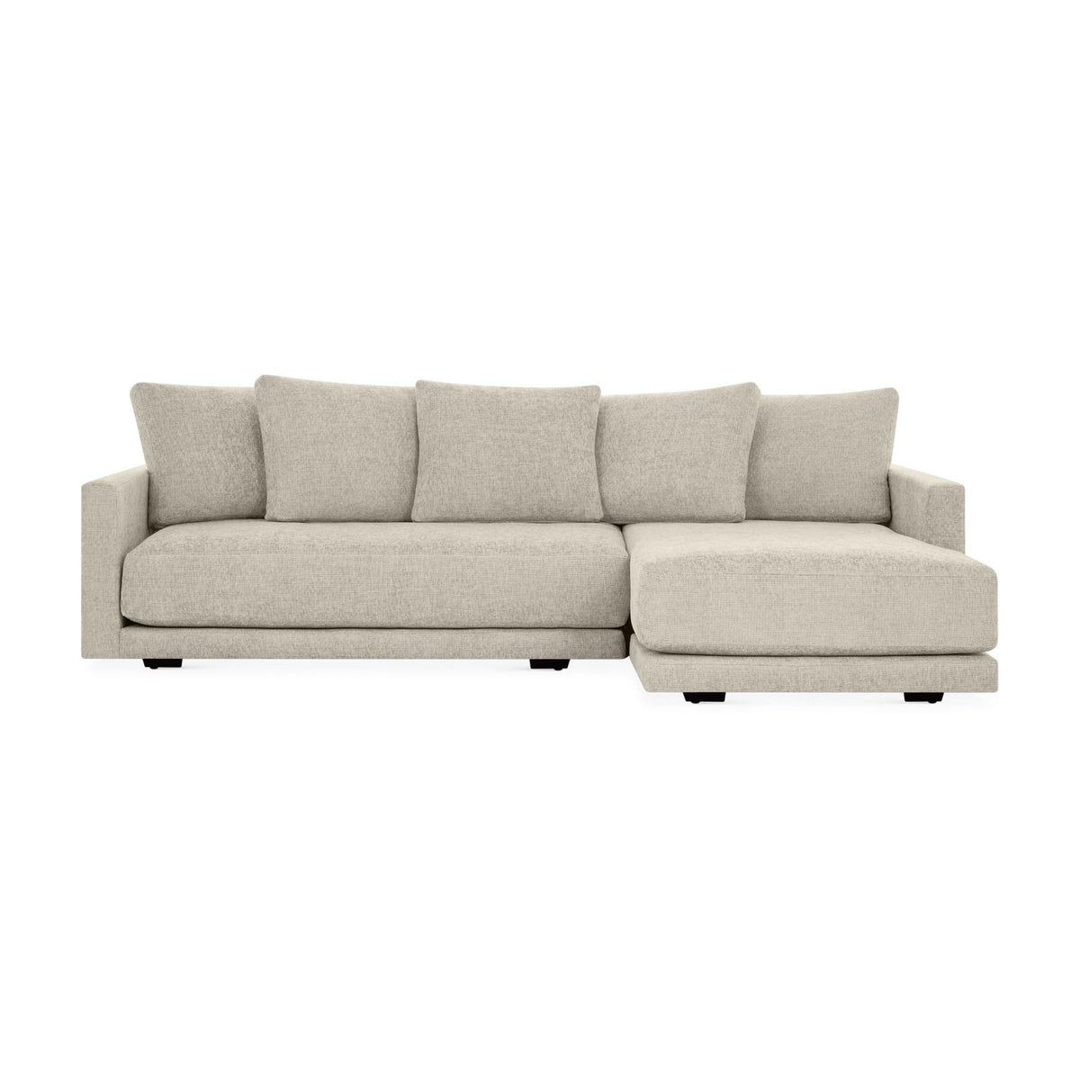 Erika Customizable Sectional Sofa