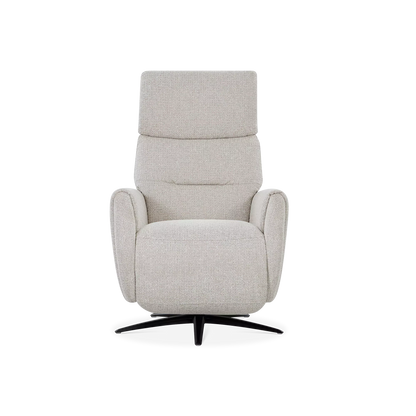 Skinner - Power Recliner with Swivel Base
