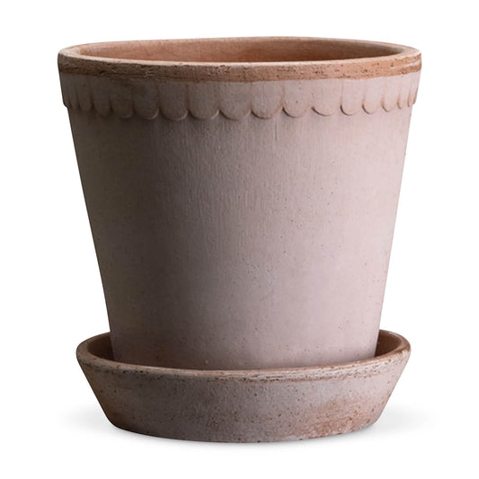 Helena Pot