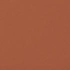 Amber Brown swatch