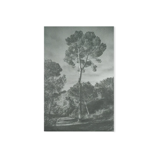 Arbores painting