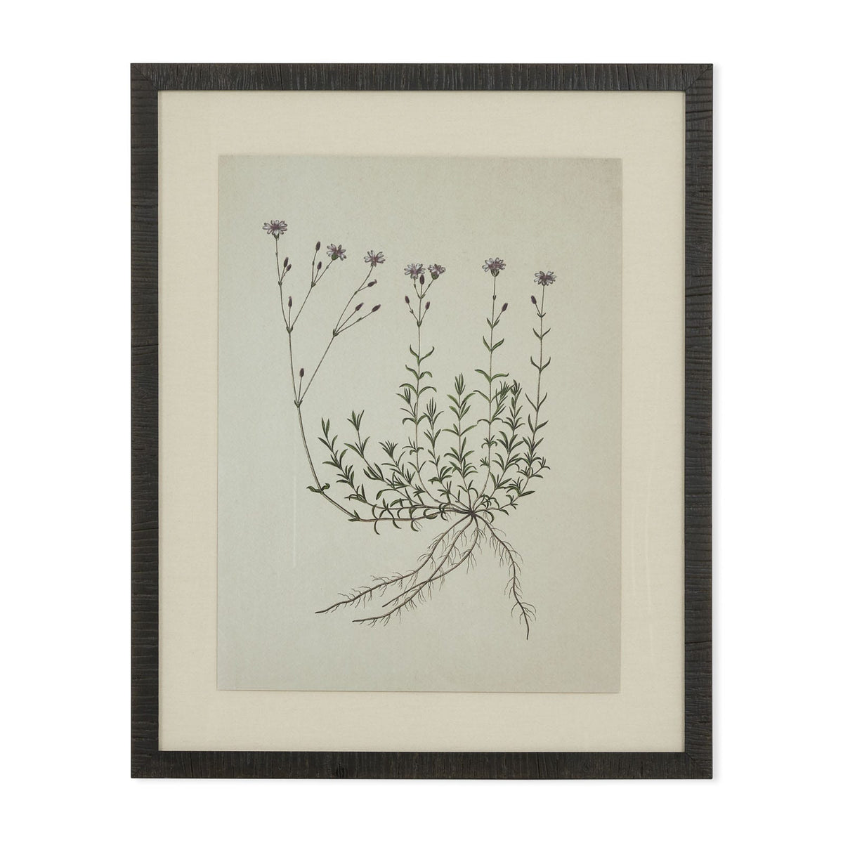 Tableau Natural botanical I