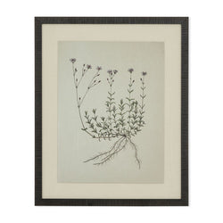 Tableau Natural botanical I