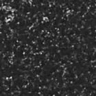 Ceramicon Dark Grey Glass swatch