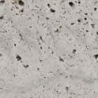 Travertine, White swatch