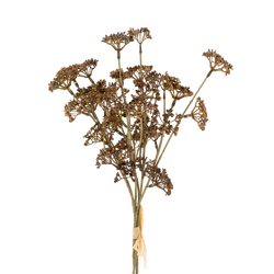 Meadow Grass - Bouquet delicate sprigs